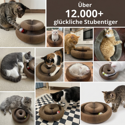 KittyKreisel™