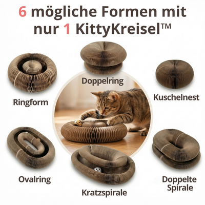 KittyKreisel™