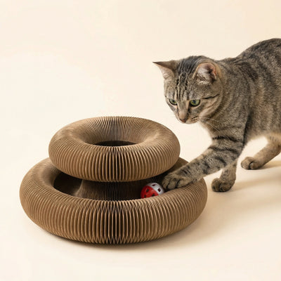 KittyKreisel™