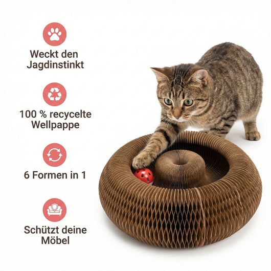 KittyKreisel™